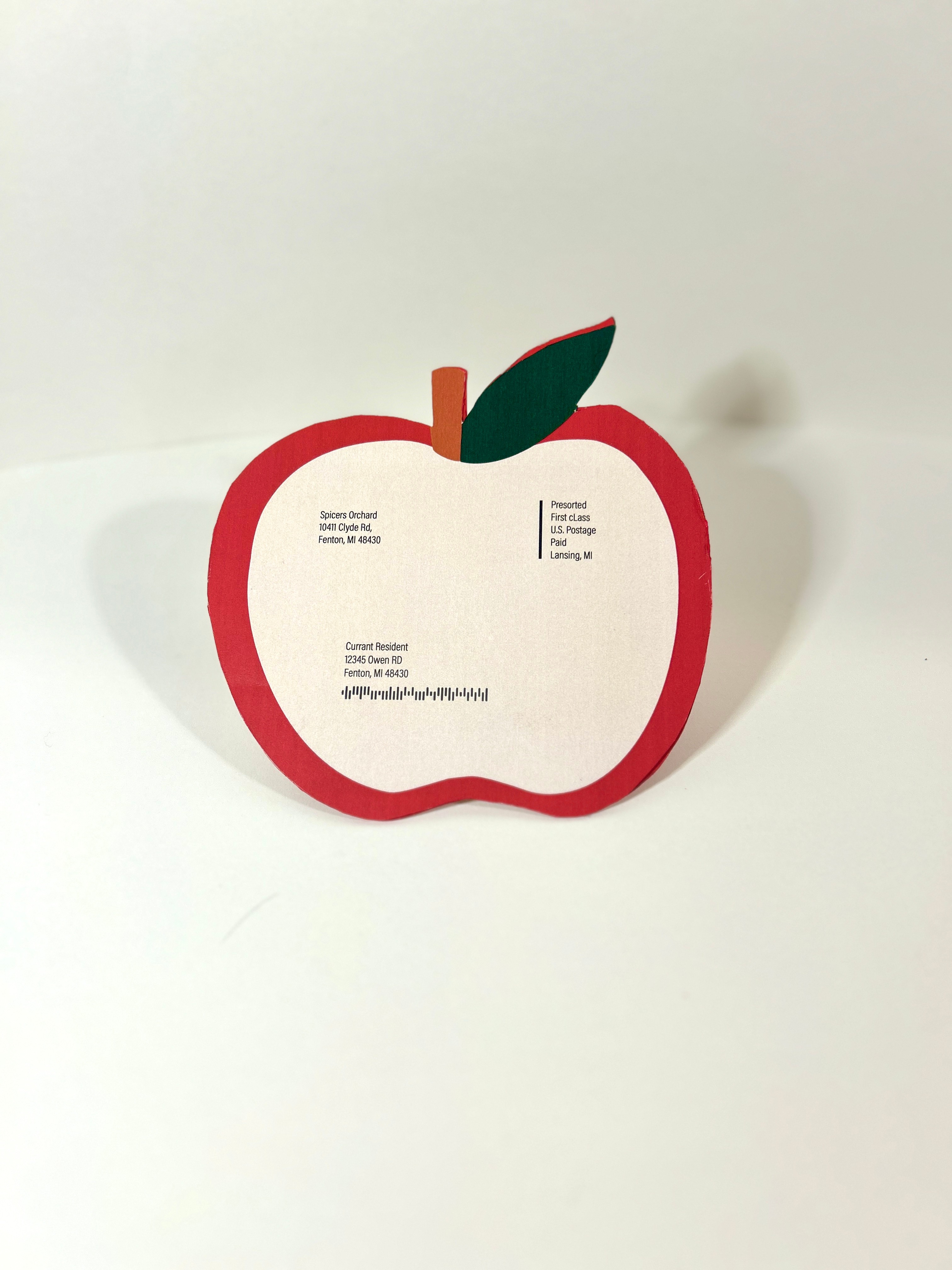 spicer Diecut mailer