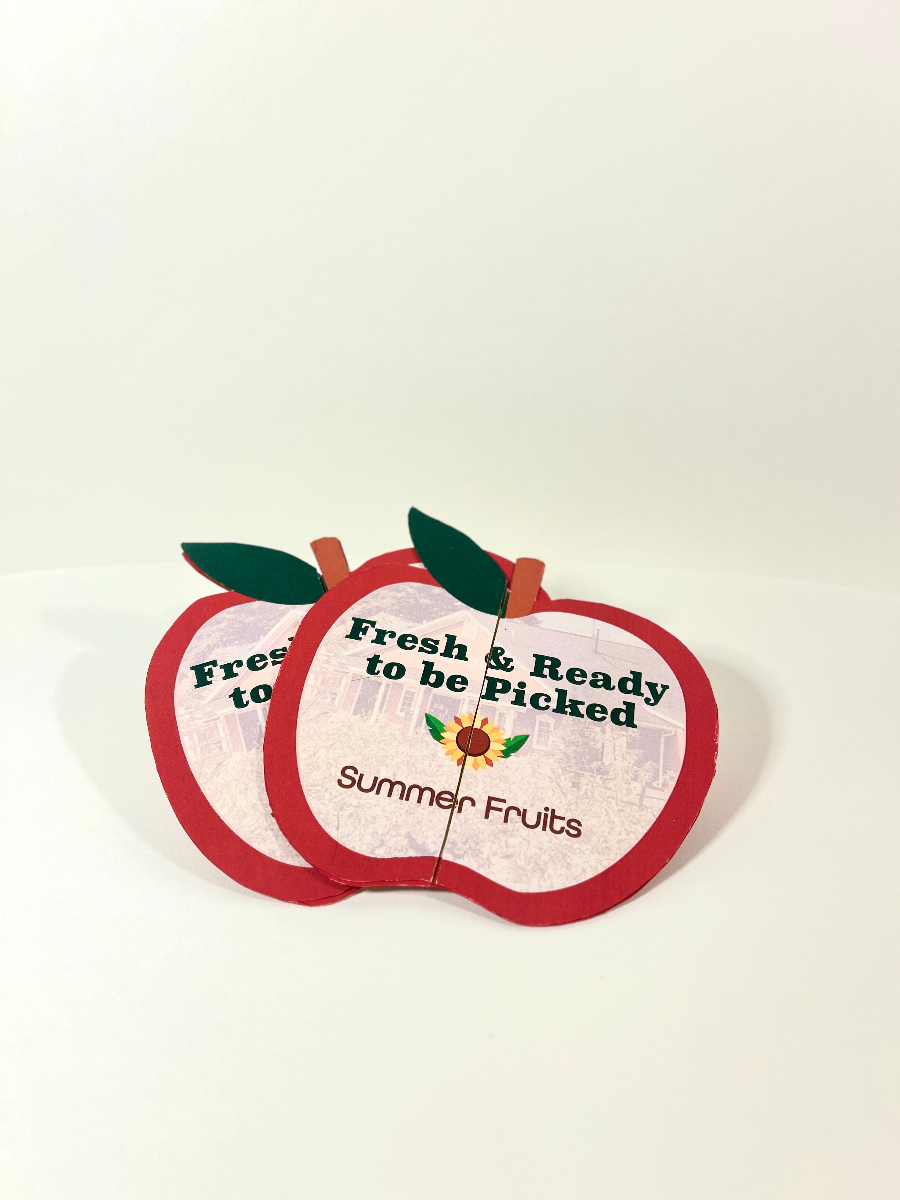 spicer Diecut mailer