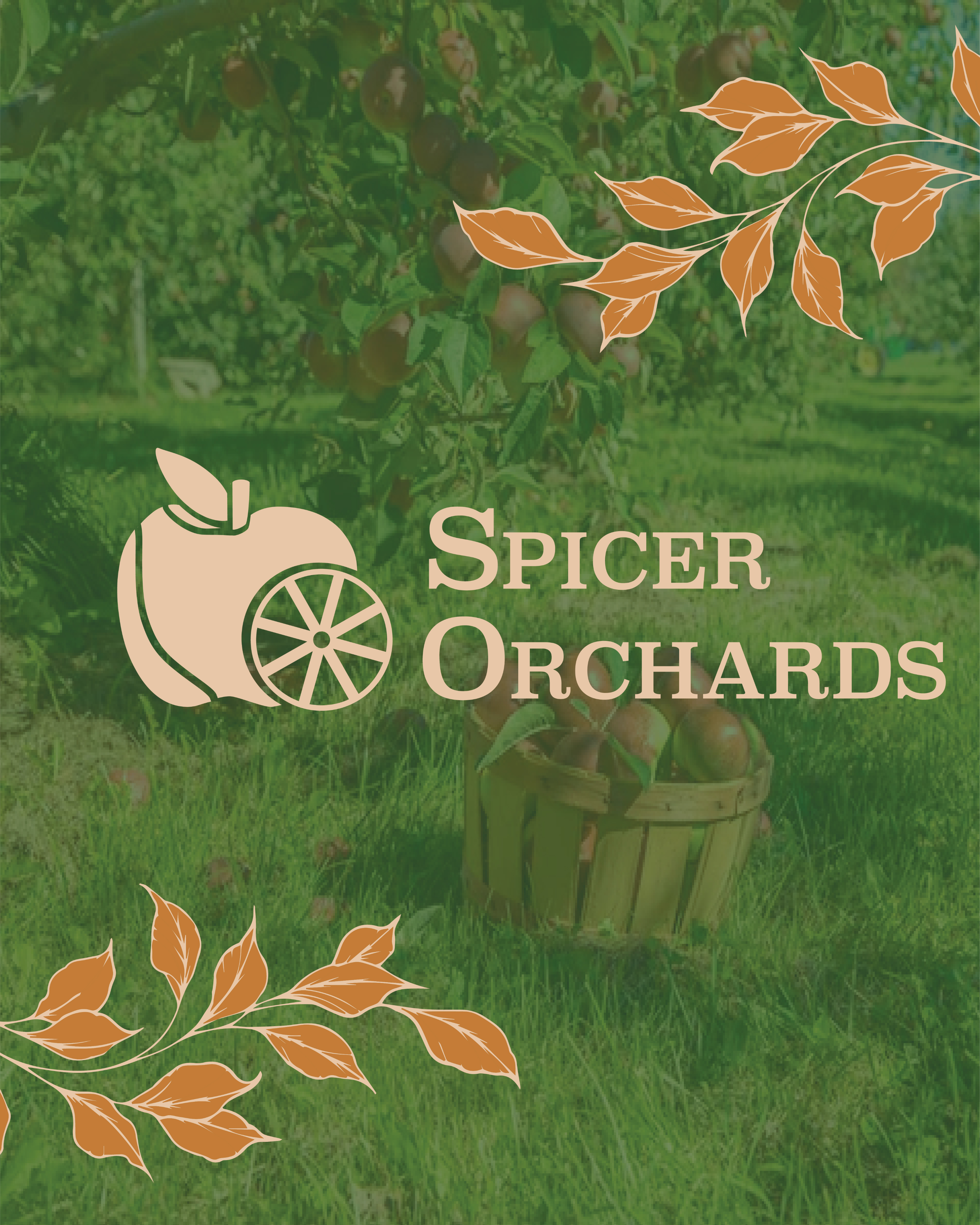 Spicer social post cover