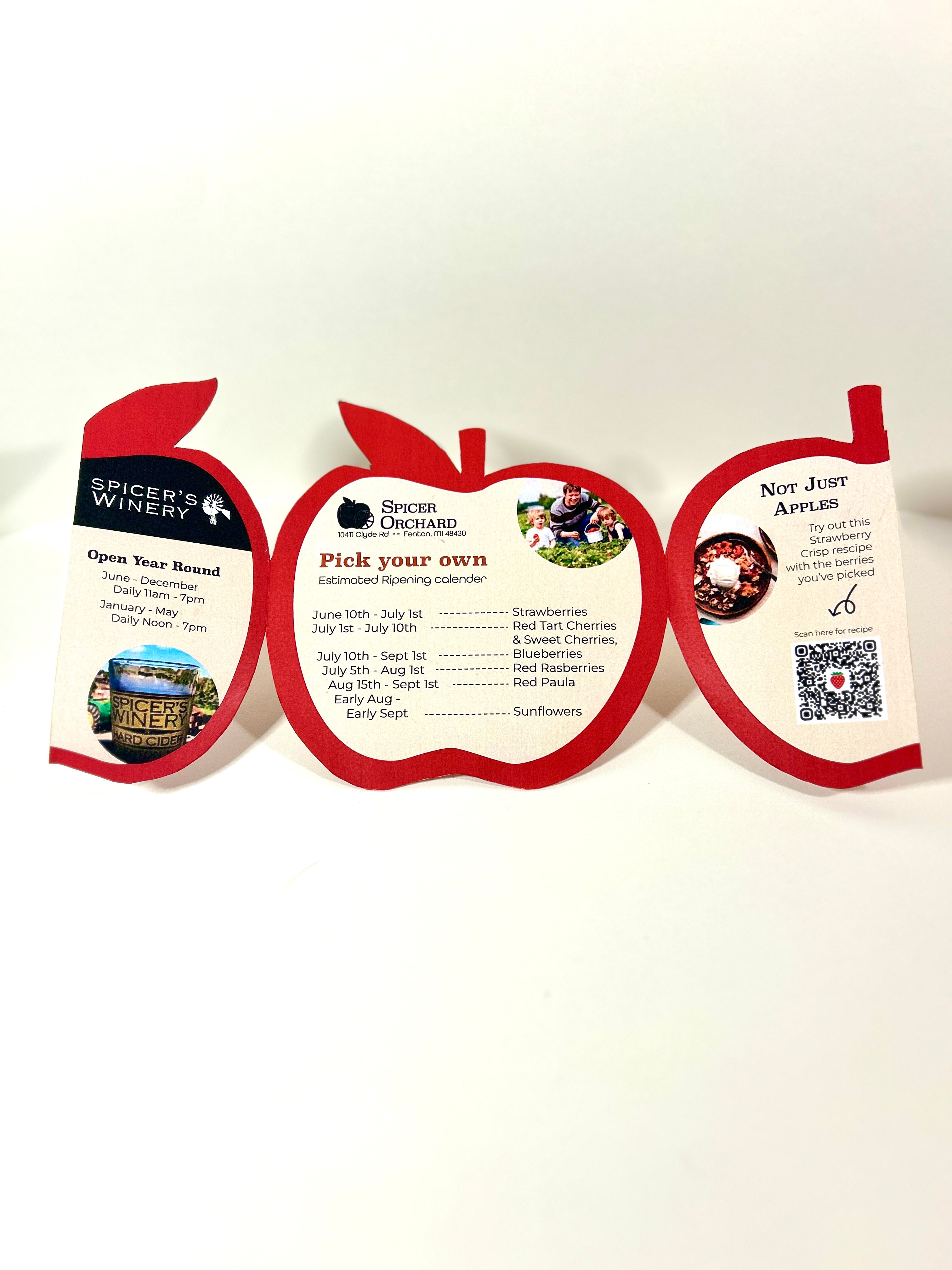 spicer Diecut mailer